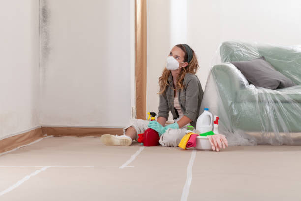 Reliable Mold Remediation contractor in Rolesville, NC by Cheap Mold Removal